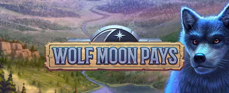 Wolf Moon Pays