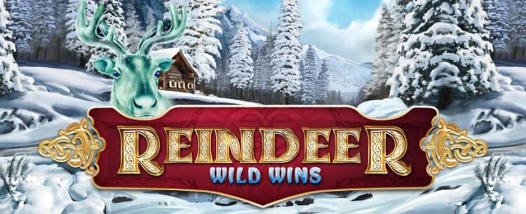 Reindeer Wild Wins